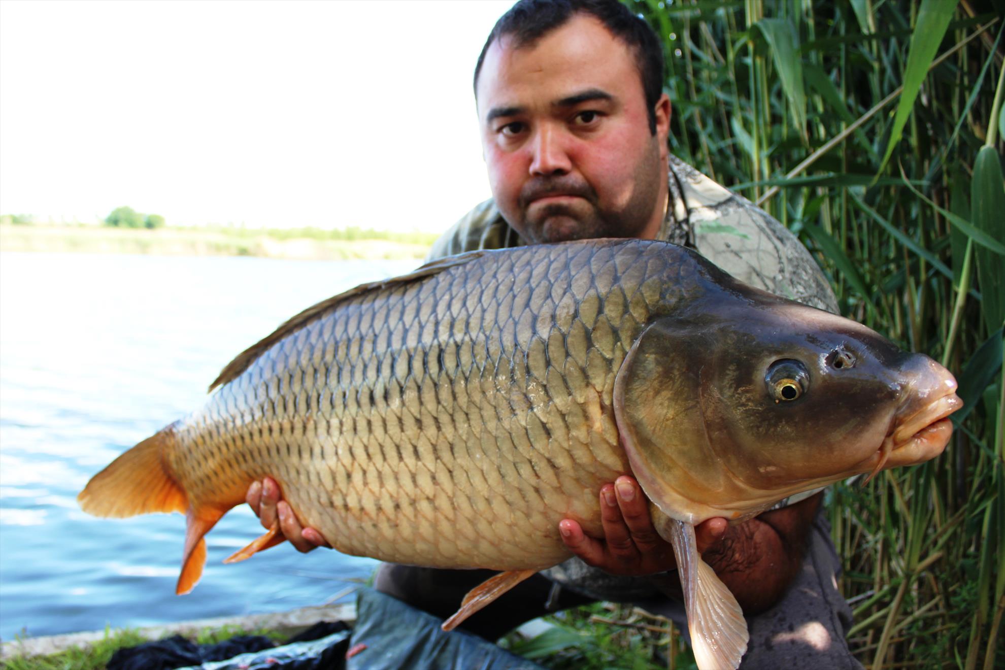 pescuit ,pur si simplu - img8742.JPG